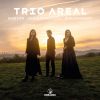 Download track Piano Trio No. 2 In E Minor, Op. 67: II. Allegro Con Brio