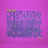 Download track Never Can Say Goodbye (Acoustic Chillout Version)