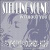 Download track Without You