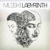Download track An Introduction To Labyrinth