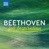 Download track Violin Concerto In D Major, Op. 61: III. Rondo: Allegro