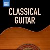 Download track La Catedral (Arr. G. A. Devine For Guitar): No. 3, Allegro Solemne