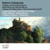 Download track Fünf Stücke Im Volkston, Op. 102: I. Mit Humor 'Vanitas Vanitatum'