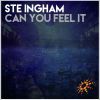 Download track Can You Feel It (Kritikal Mass Remix Edit)
