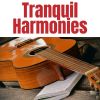 Download track Serene Strums