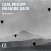 Download track 07. Bach- Quartet In D Minor, Wq 94- III. Allegro Di Molto