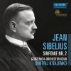 Download track 4. Sibelius: Symphony No. 2 - IV. Finale: Allegro Moderato