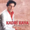 Download track Bir Başkadır Seni Sevmek