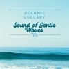Download track Seaside Serenity