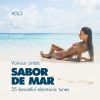 Download track Continental Voyager (Original Mix)