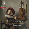 Download track 14. Concerto In D Major TWV51: D2 - III. Largo