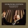 Download track Symphony No. 10 In E Minor, Op. 93: II. Allegro
