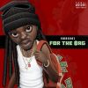 Download track Assumptions