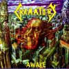 Download track Maze