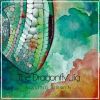 Download track Seanín Dá Bhfaigheach / Connor Dunn's