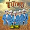 Download track Viva Linares