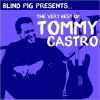 Download track A Good Fool Is Hard To Find (With Coco Montoya)