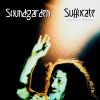 Download track Searching With My Good Eye Closed (Live 1991)