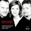 Download track Piano Trio No. 2 In C Major, Op. 87 - II. Andante Con Moto