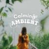 Download track Baby Sleeping Music For Peaceful Dreaming, Pt. 57