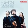 Download track 14 - Trio No. 20, Op. 40 No. 2 (Hob. XV 7) III. Allegro Assai