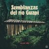 Download track Bogando