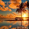 Download track Evolvement