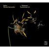 Download track 02 - Ouverture In D Major, TWV55D15 II. Prélude (Très Vite)