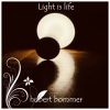 Download track Light Show
