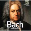 Download track 10. Variations Goldberg: Variation 16. Ouverture A Un Clavier
