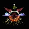 Download track Nowhere Night