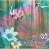 Download track Sweet Lullaby