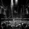 Download track Save Earth