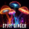 Download track Gaudy