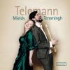 Download track Trio Sonata In D Minor, TWV 42: D7: IV. Allegro