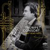 Download track Telemann: Concerto No. 2 In D Major TWV 40: 202: I. Adagio