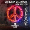 Download track Wonderful Life (Dex Wilson Remix)