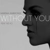 Download track Without You
