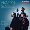 Download track Piano Trio No. 7 In G Major, Hob. XV: 41: IV. Finale. Allegro