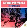Download track Amigazo