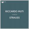 Download track Process-Polka, Op. 294