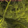 Download track O LSD Da Cova Da Iria Bate Forte