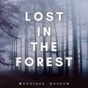 Download track Symphony Of The Forest