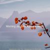 Download track Thrilling Ambiance For Quiet Mornings