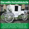 Download track Tanze Mit Mir In Den Morgen