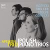 Download track Bagatelles For Violin, Cello And Piano, Op. 5: VI. Presto