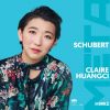 Download track 13. Sonata C Minor, No. 19, D958 III. Menuetto. Allegro