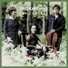 Download track Suk: Piano Trio In C Minor, Op. 2: III. Vivace