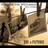 Download track Louisiana Funk