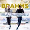 Download track Hungarian Dances, Op. 21 XX. Poco Allegretto